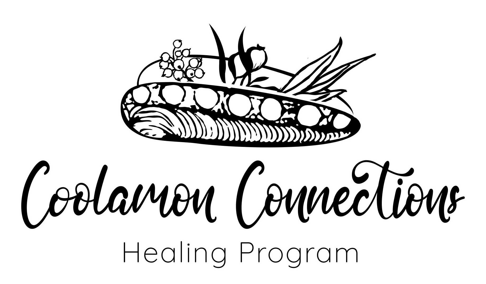Coolamon Connections Healing Program
