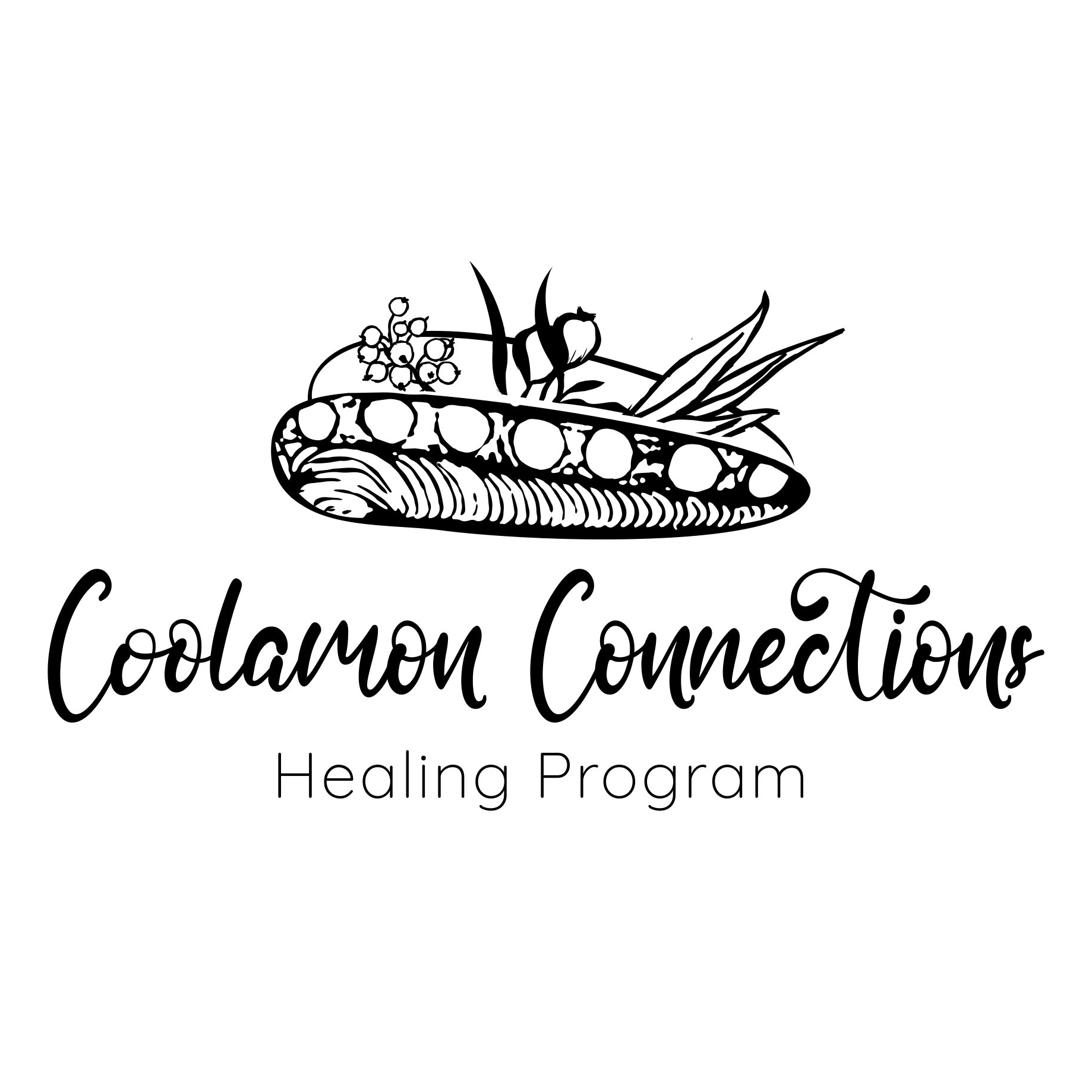 Coolamon Connections Healing Program